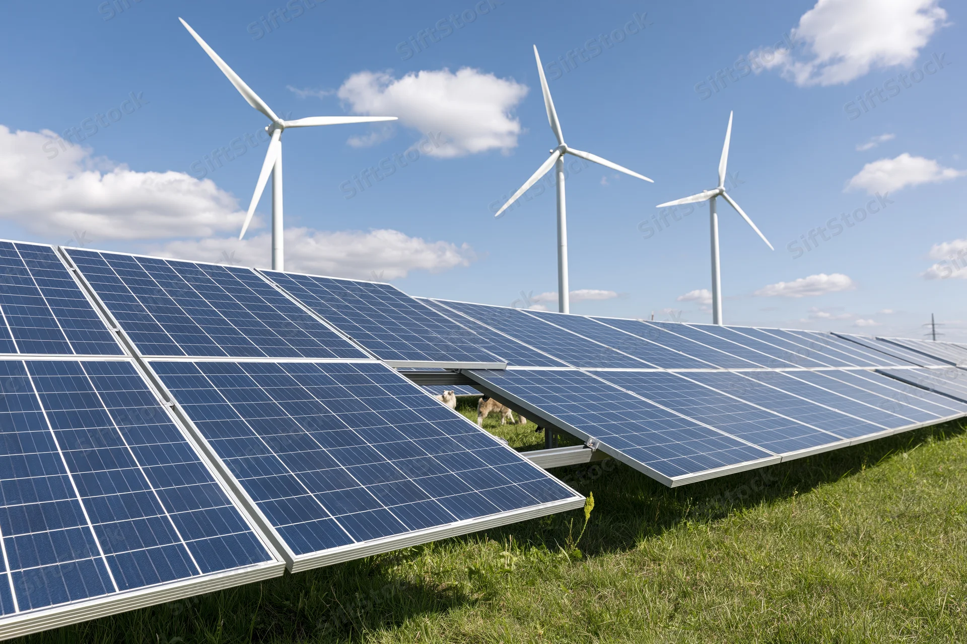Rows of blue photovoltaic solar panels installed in a green field with wind turbines in the background under a blue sky with clouds