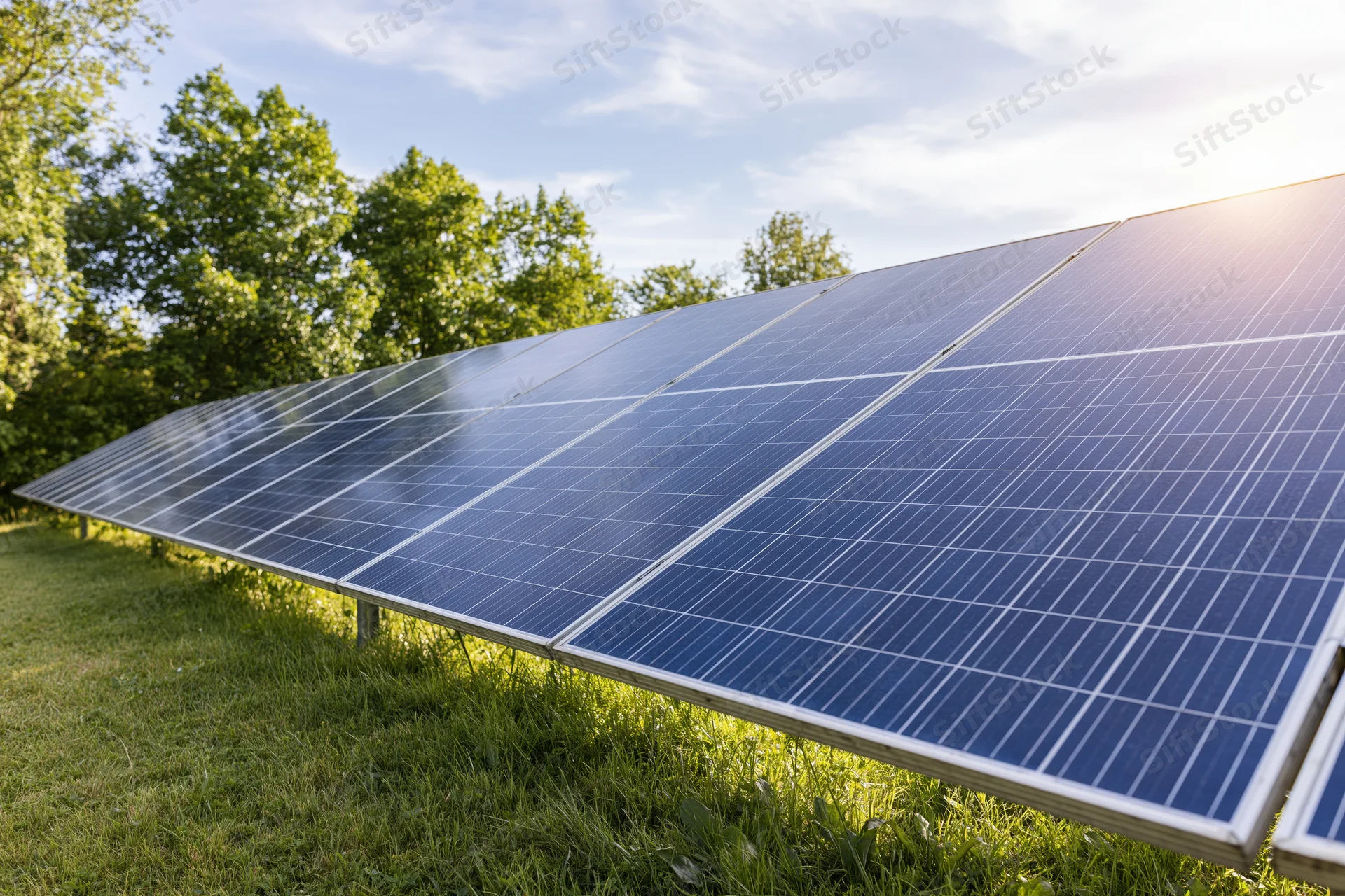 Rows of blue photovoltaic solar panels installed on green grass in a rural field under a clear blue sky