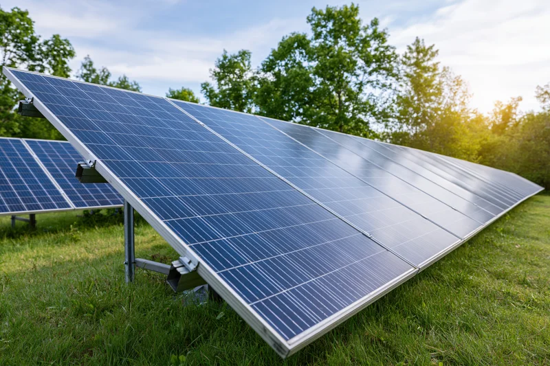 Rows of blue photovoltaic solar panels installed on green grass in a rural field under a clear sky with trees in the background