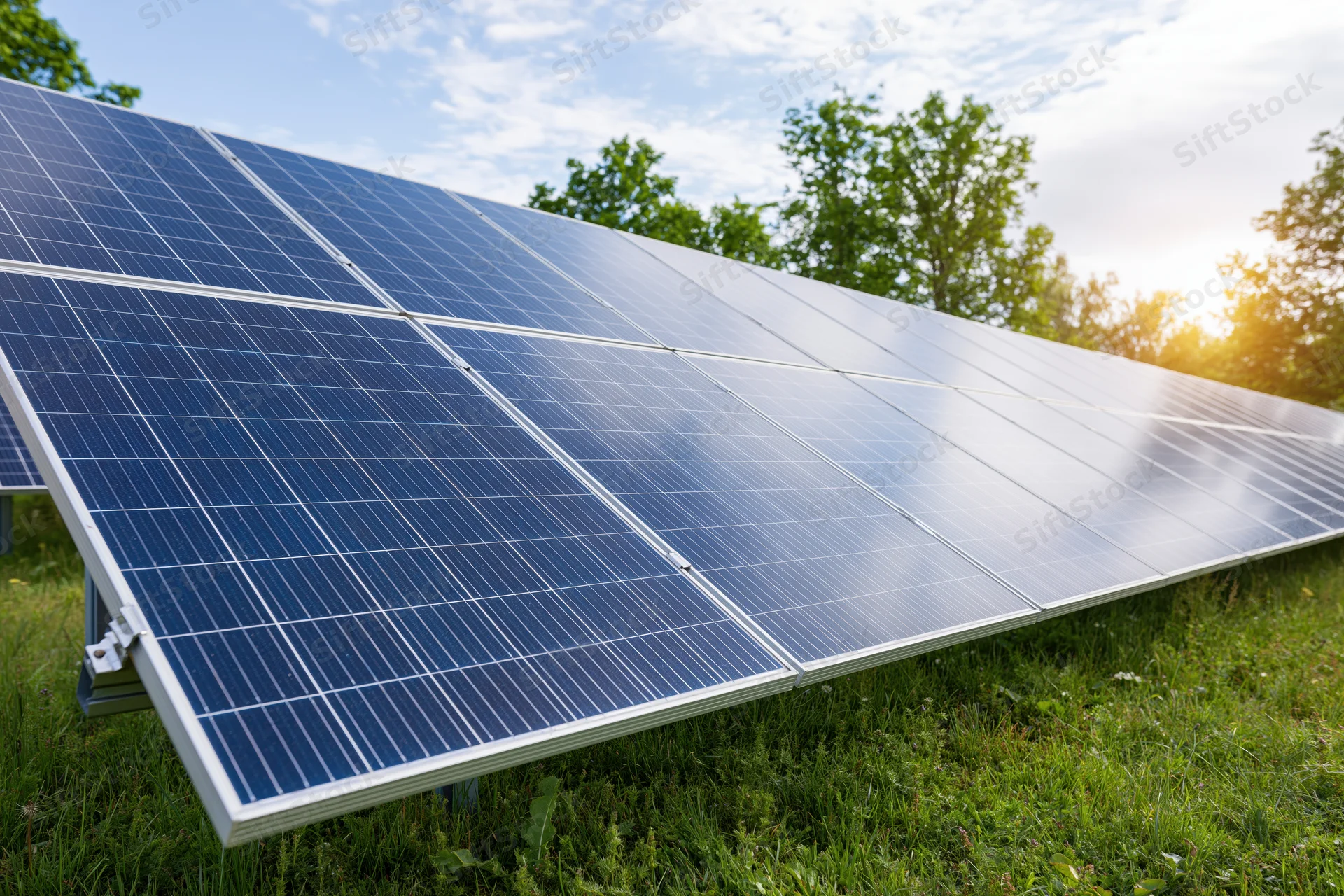 Rows of blue photovoltaic solar panels installed on green grass in a field under a partly cloudy sky with trees in the background