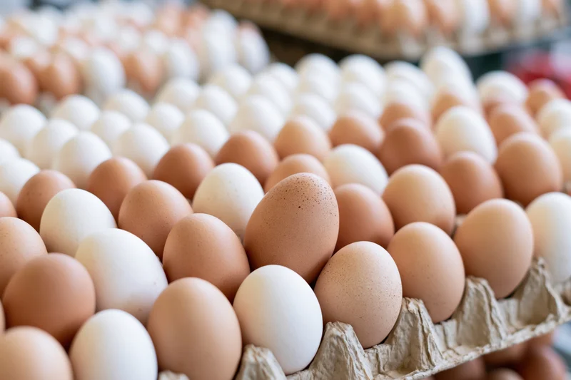 Rows of fresh chicken eggs stacked in cardboard trays at a market