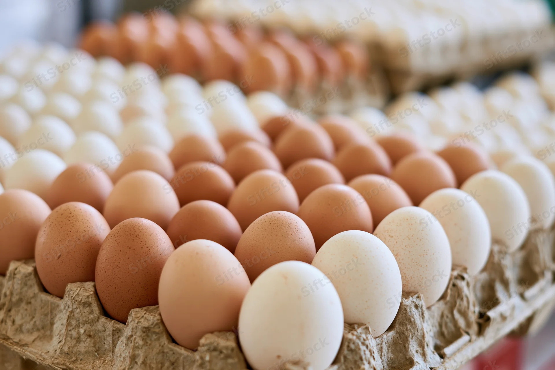 Rows of fresh chicken eggs in cardboard trays arranged in stacks