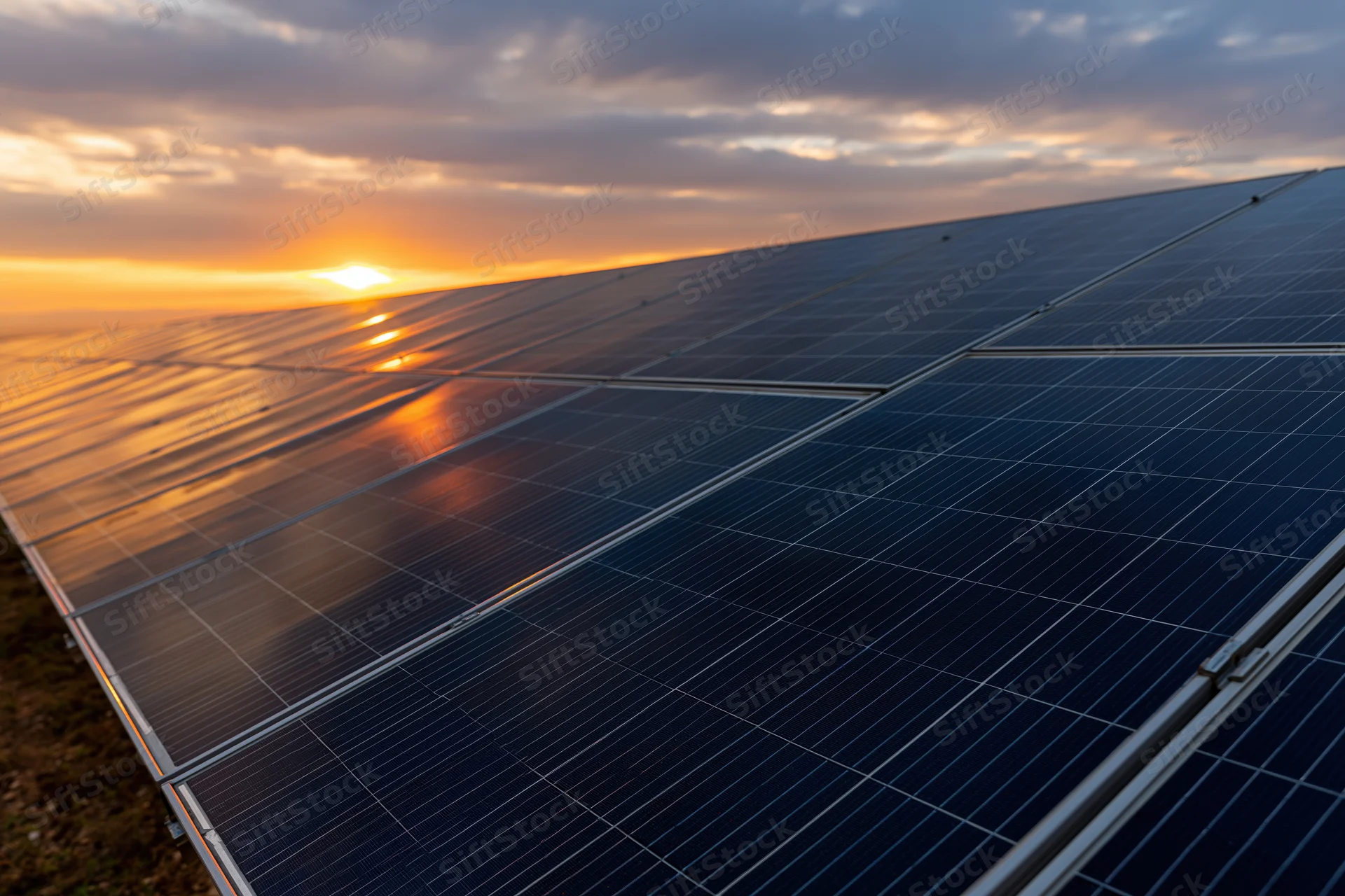 Rows of solar panels angled toward the horizon at sunset in a rural field