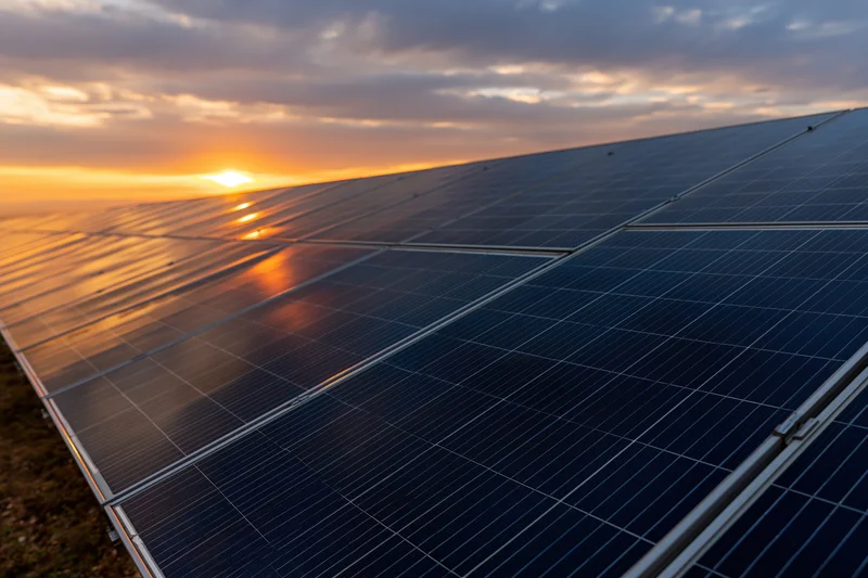 Rows of solar panels angled toward the horizon at sunset in a rural field