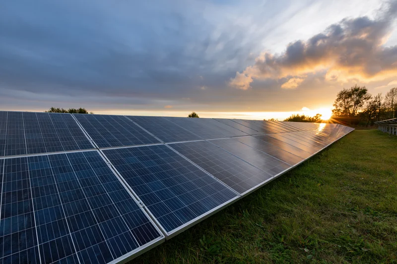 Rows of solar panels installed on a grass field stretching toward the sunset horizon