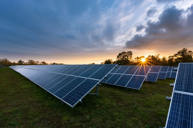 Rows of solar panels installed on a grass field stretching toward the horizon at sunset