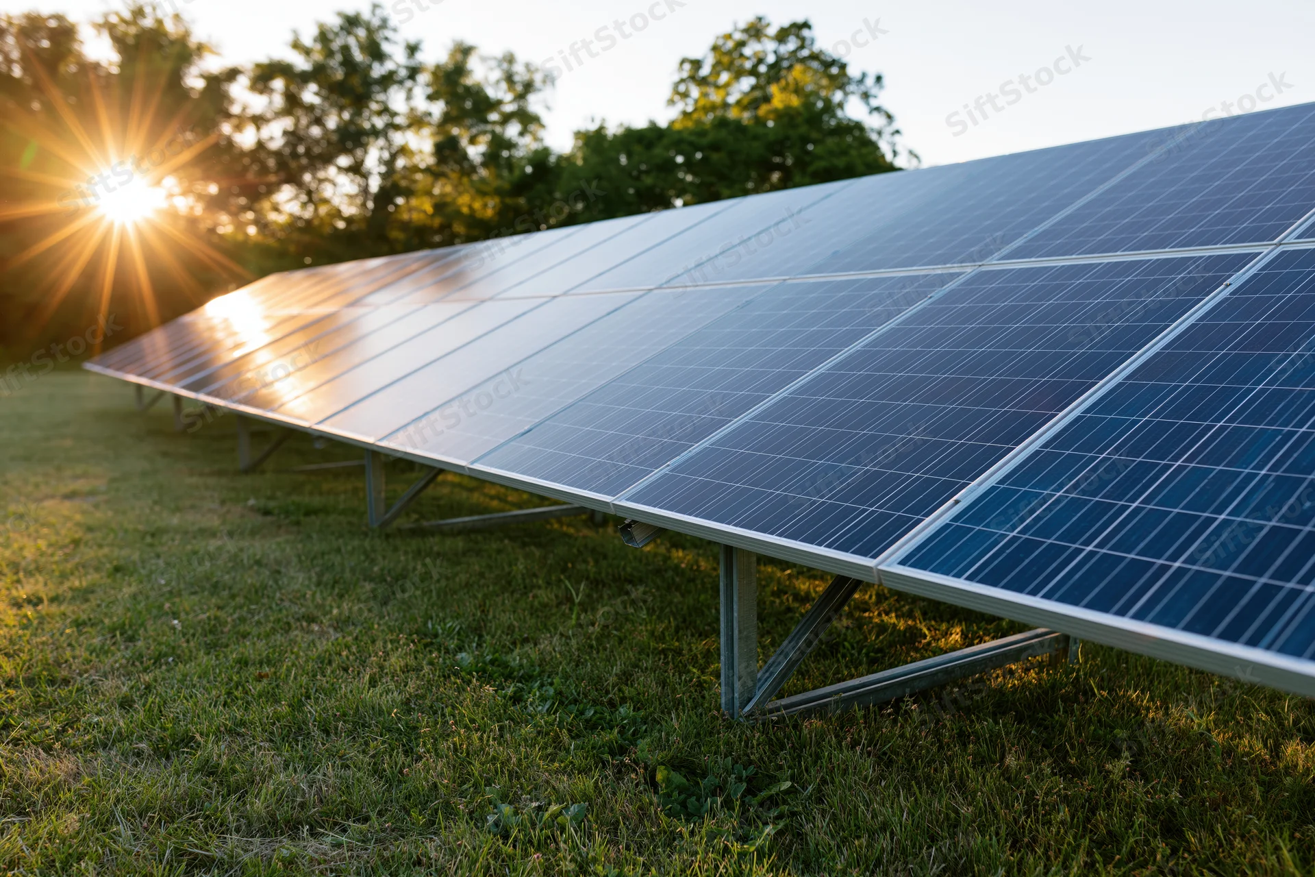 Rows of solar panels installed on a grassy field at low angle during sunrise
