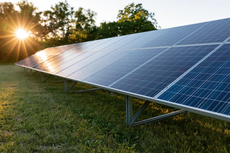 Rows of solar panels installed on a grassy field at low angle during sunrise