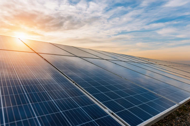 Rows of solar panels stretching to the horizon under a sunset sky