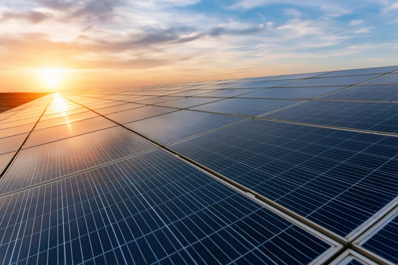 Rows of solar panels stretching to the horizon under a sunset sky