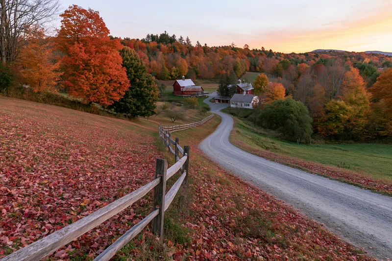 Winding gravel road through autumn foliage on a rural vermont hillside farm