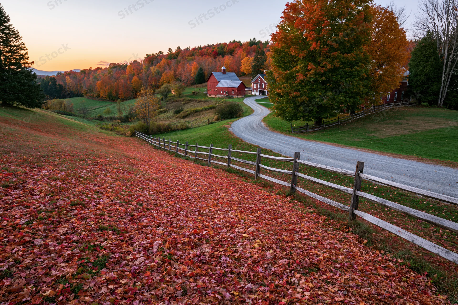 Autumn foliage covers a hillside farm in vermont with a red barn and winding gravel road
