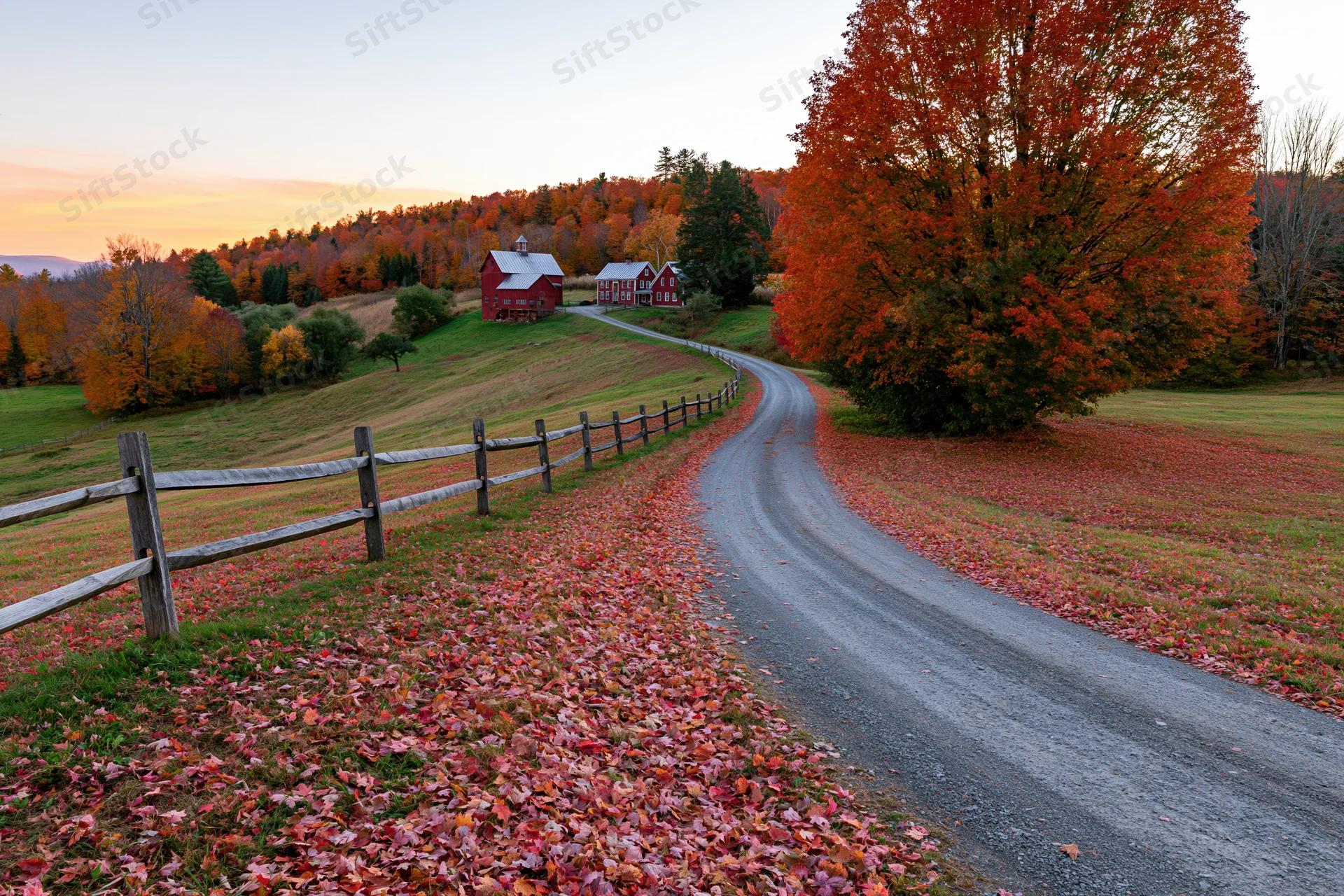 Winding gravel road through autumn foliage on a rural vermont hillside farm