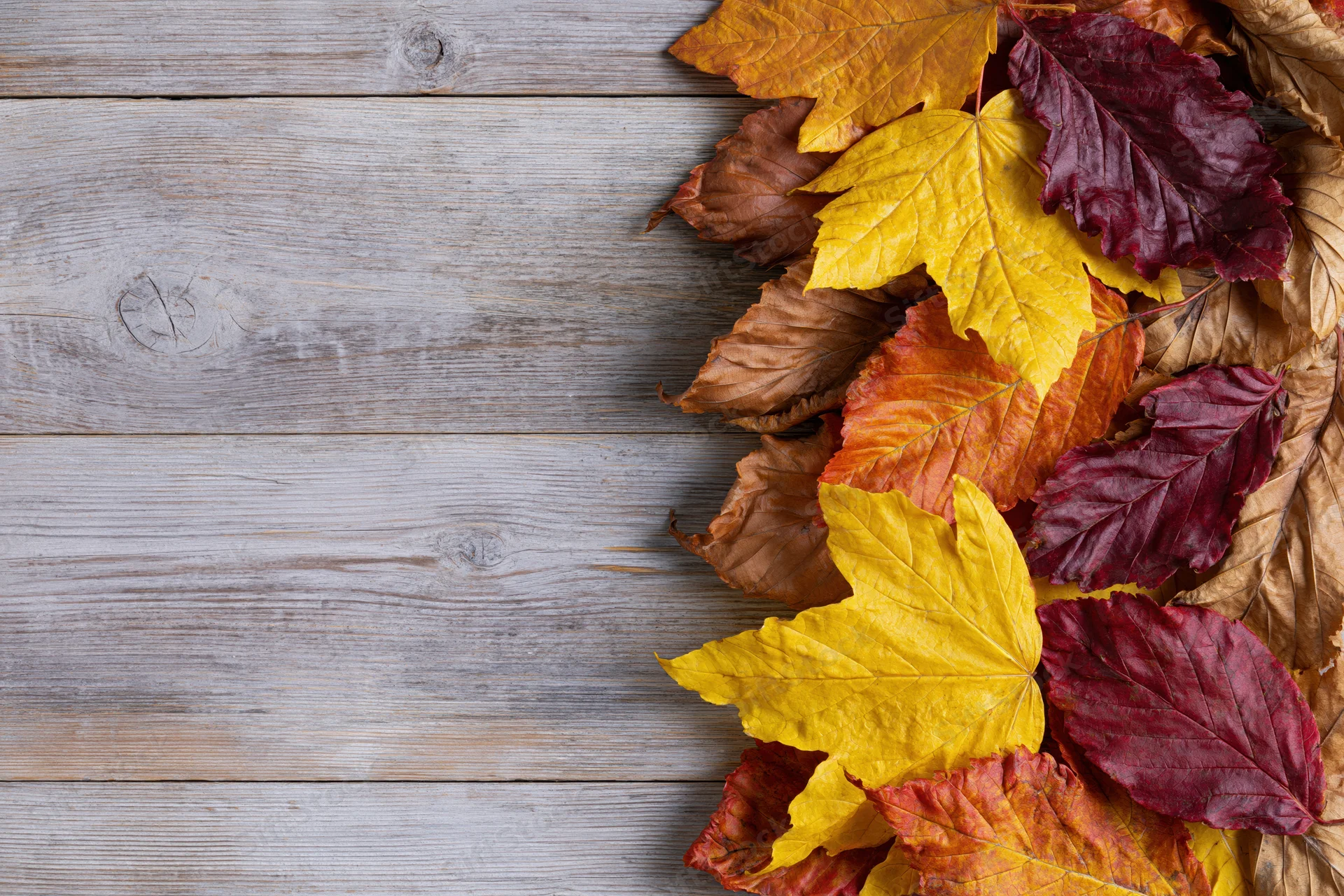 Scattered autumn leaves arranged along the right edge of a weathered wooden surface
