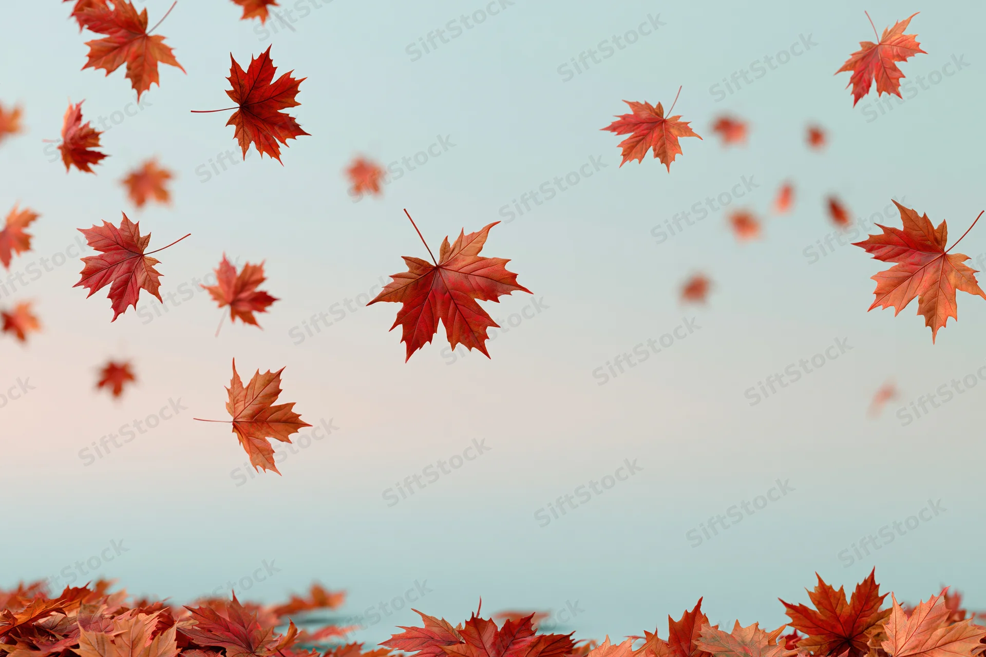 Maple leaves falling and floating against a soft sky with a pile on the ground below