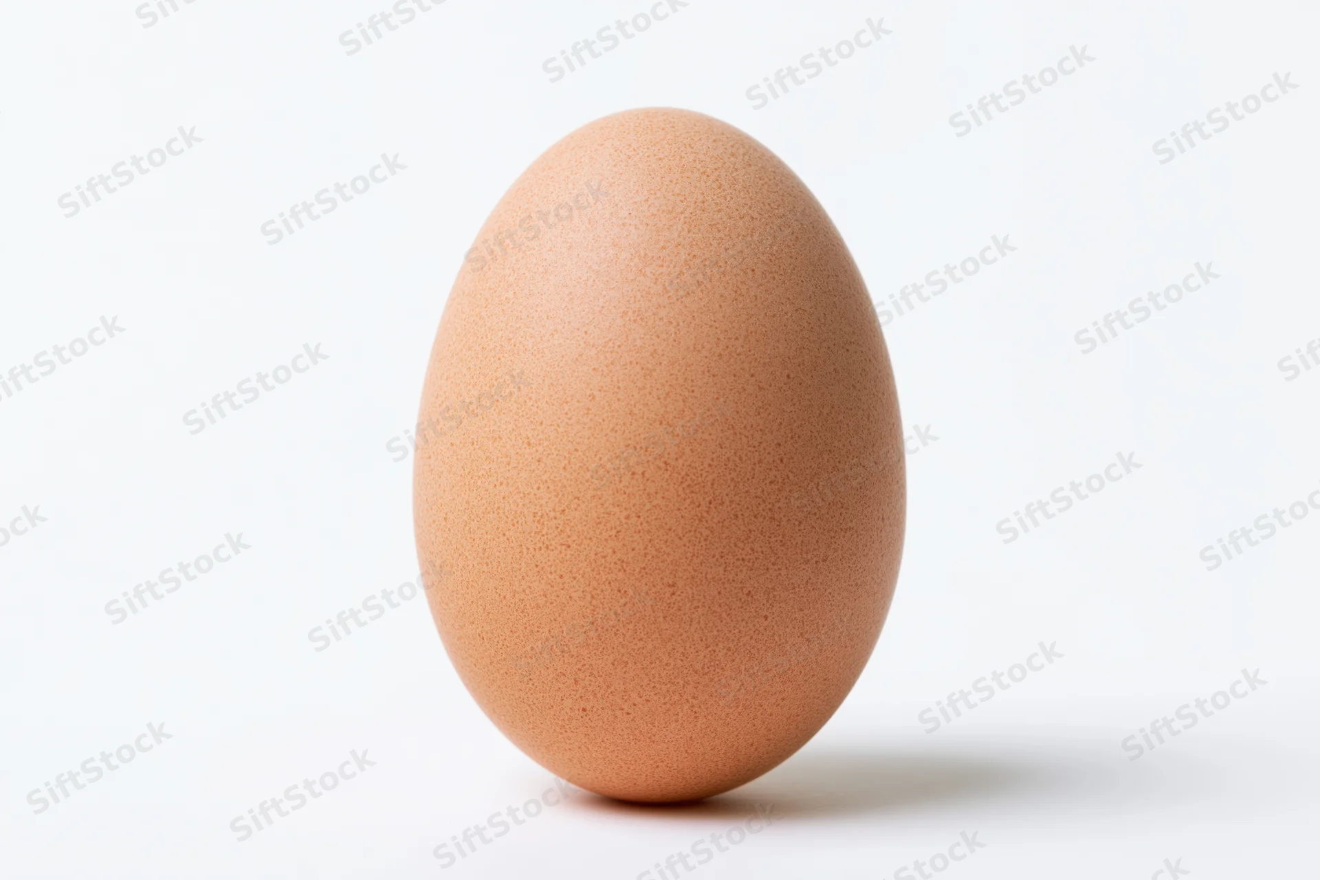 Single brown chicken egg standing upright on white background