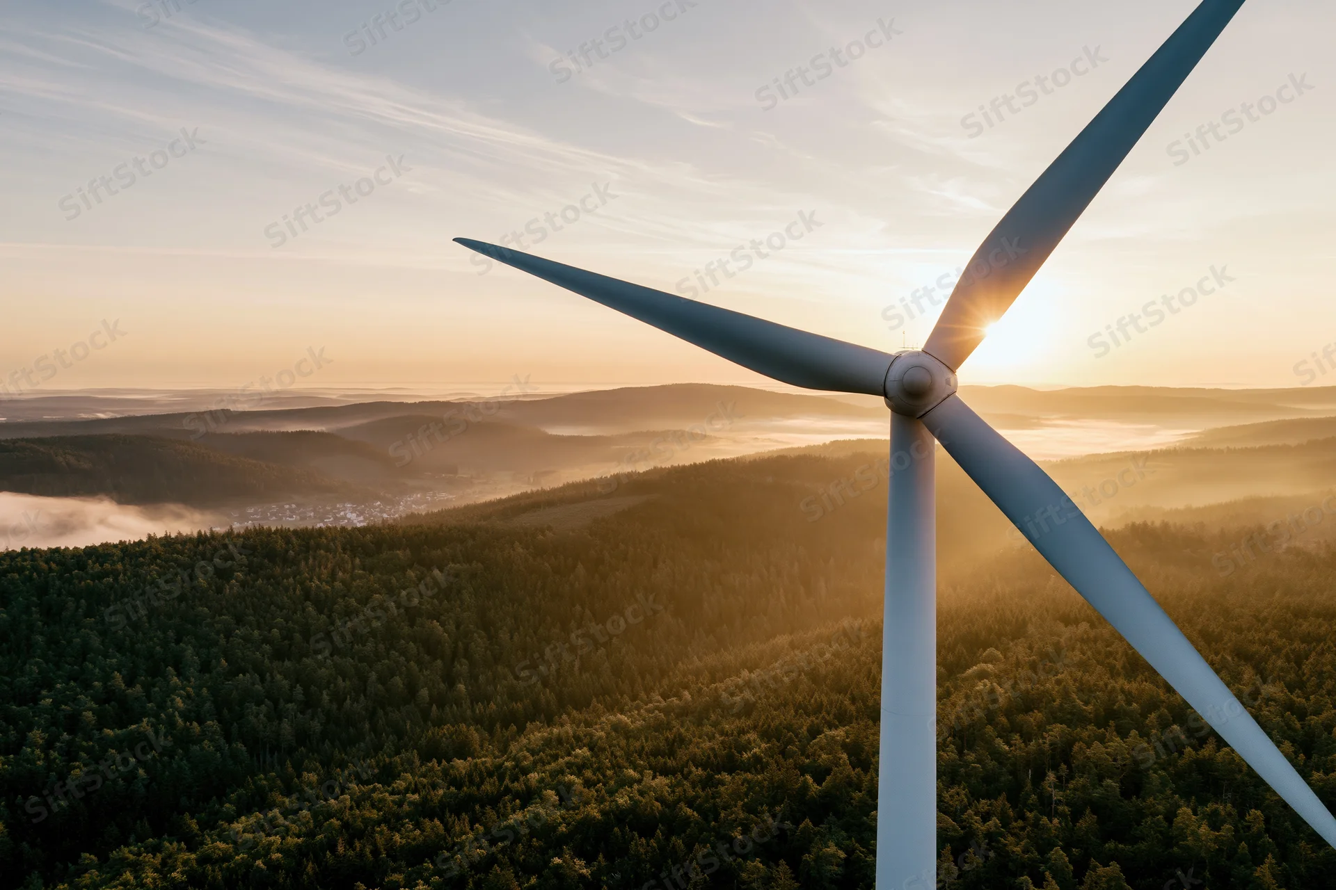 Wind turbine rising above dense forest at sunrise