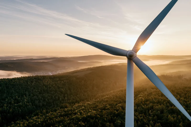 Wind turbine rising above dense forest at sunrise