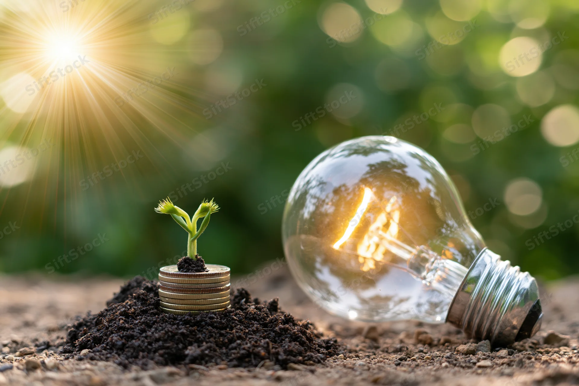 Small green seedling sprouting from a stack of coins in soil beside a glowing lightbulb outdoors in sunlight