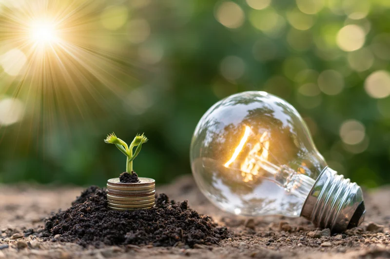 Small green seedling sprouting from a stack of coins in soil beside a glowing lightbulb outdoors in sunlight