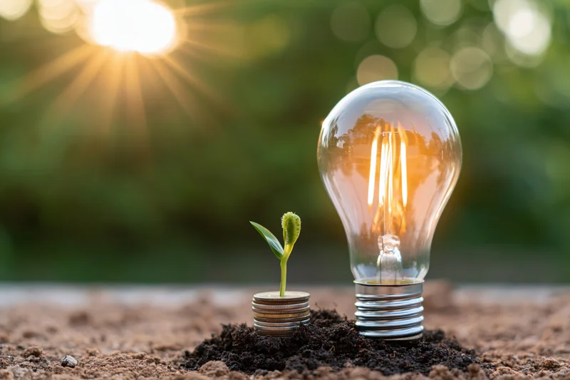Small green seedling sprouting from a stack of coins beside a glowing lightbulb in soil under sunlight