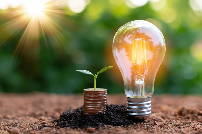 Small green seedling sprouting from a stack of coins in soil beside a glowing lightbulb outdoors in sunlight