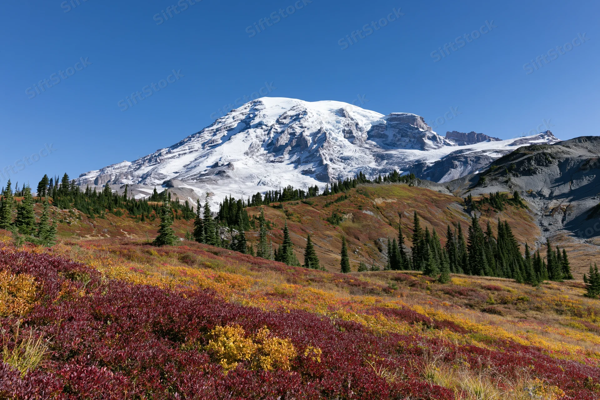 Snow-capped volcanic mountain rising above a subalpine meadow in autumn with colorful foliage and evergreen trees