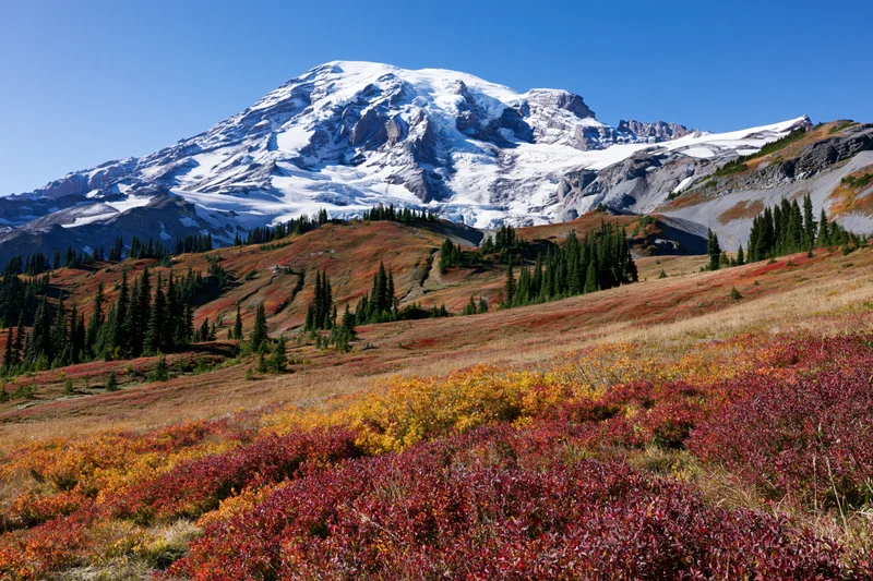 Snow-capped volcanic mountain rising above a subalpine meadow in autumn with colorful foliage and evergreen trees