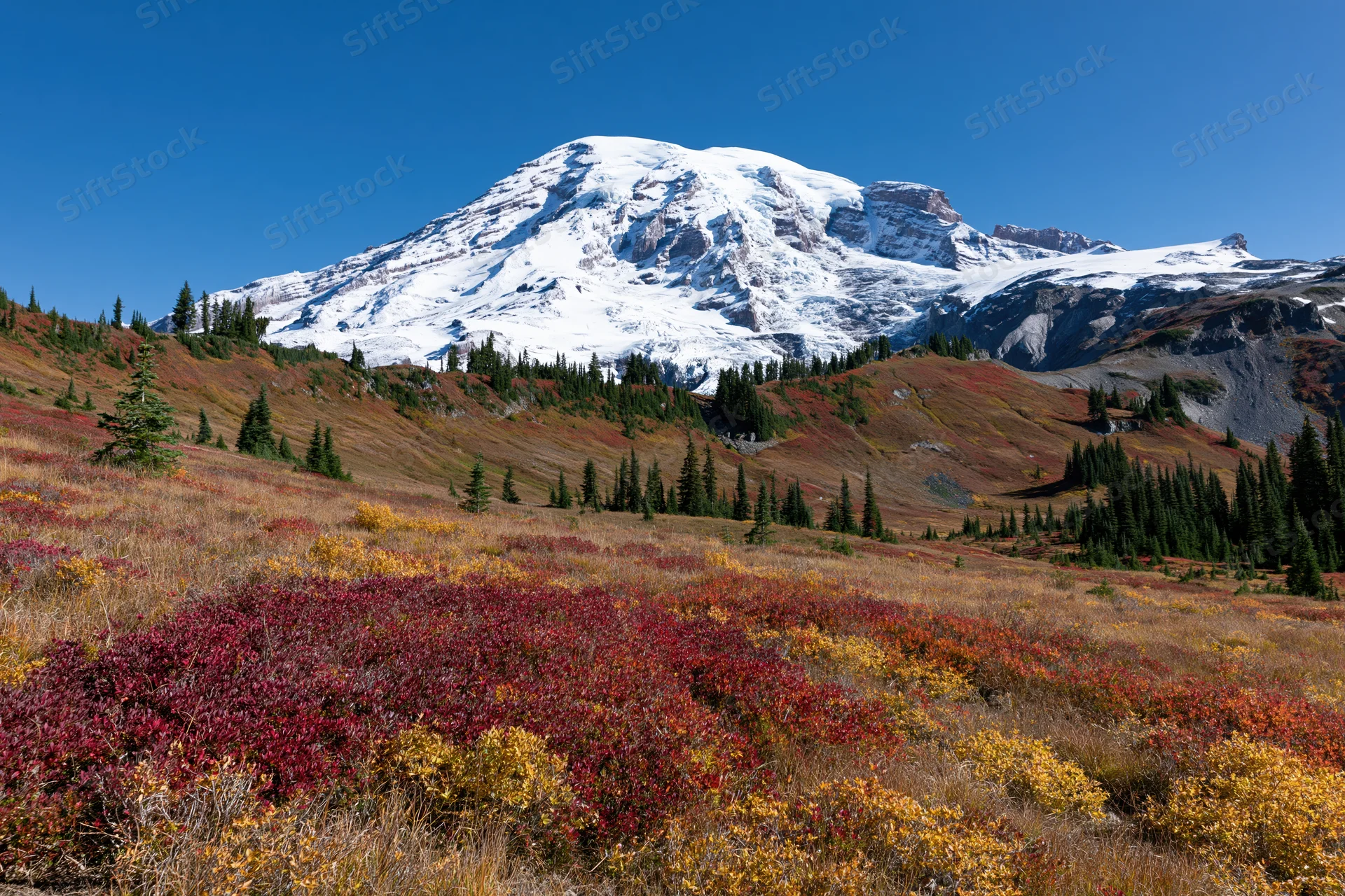 Snow-capped volcanic mountain rising above a subalpine meadow in autumn with colorful foliage and evergreen trees under a clear blue sky