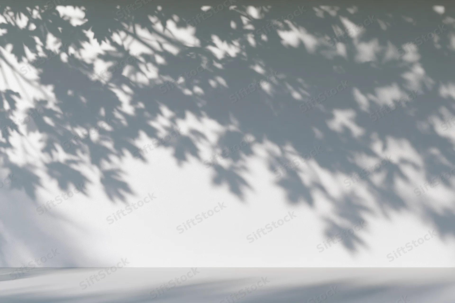 Soft dappled shadows of maple leaves cast across a plain white surface