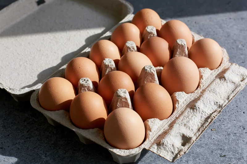 Ten brown chicken eggs arranged in an open cardboard egg carton on a gray surface in sunlight