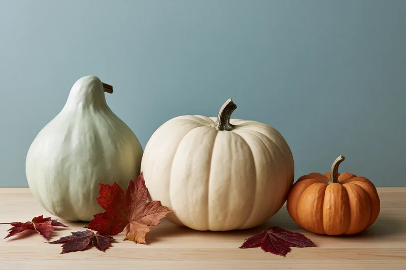 Three pumpkins and gourds arranged in a row on a light wooden table with autumn leaves scattered around
