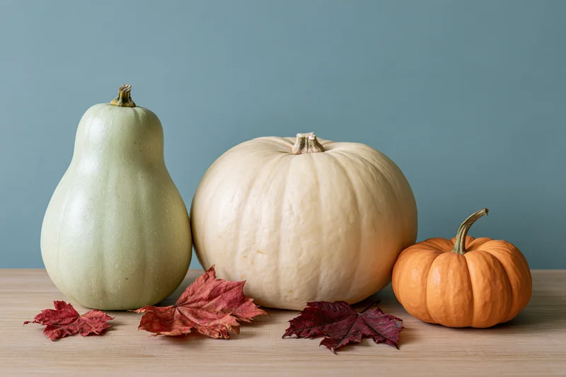 Three pumpkins and squash arranged in a row on a wooden table with dried maple leaves