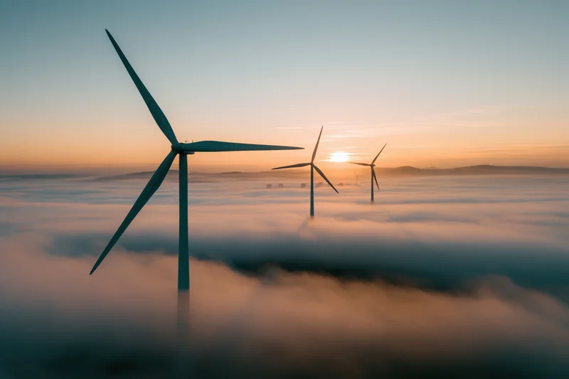 Wind turbines rising above a fog bank at sunrise