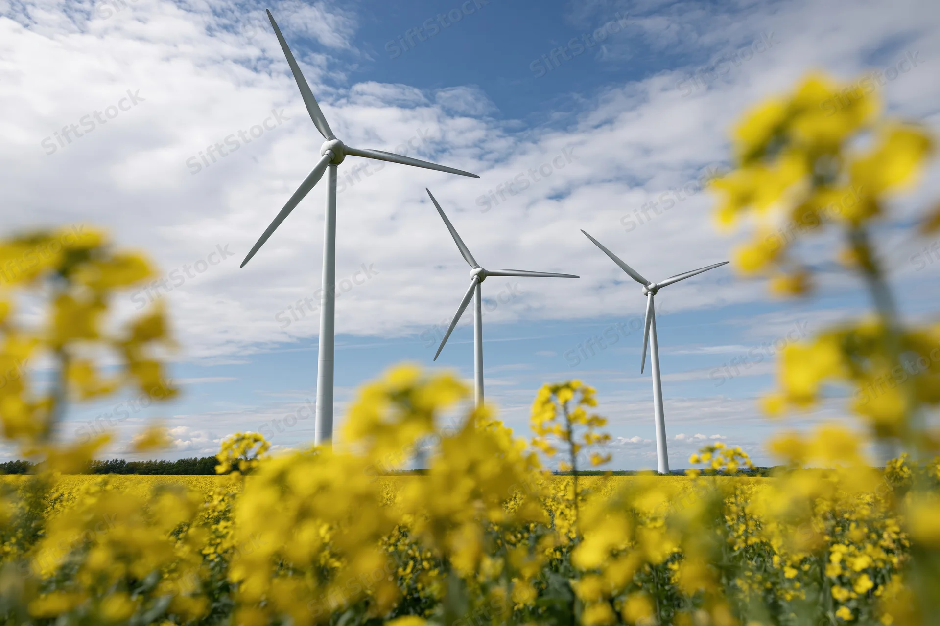 Three white wind turbines rising above a blooming rapeseed field under a partly cloudy blue sky