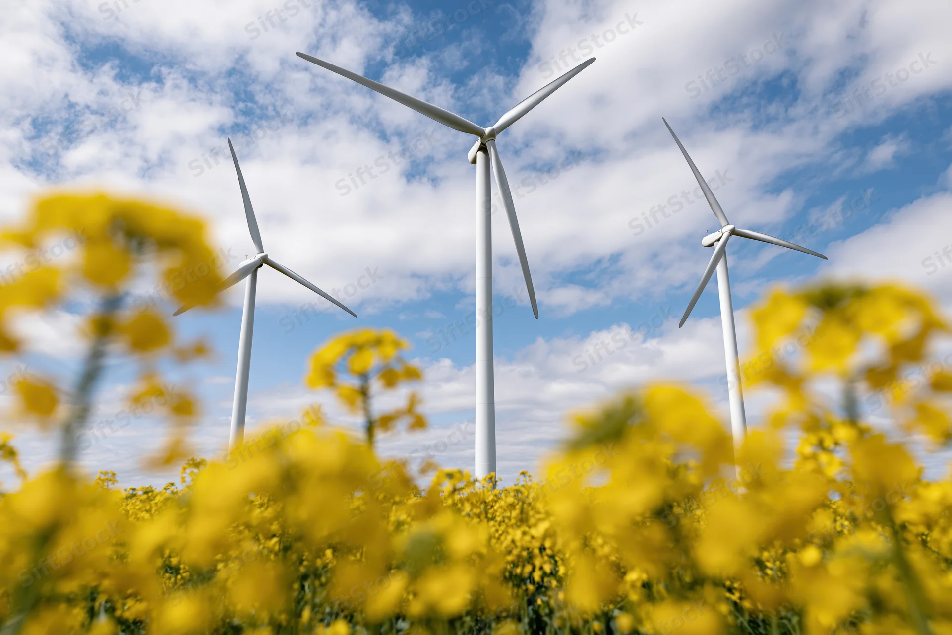 Three white wind turbines rising above a blooming rapeseed field under a blue sky with scattered clouds