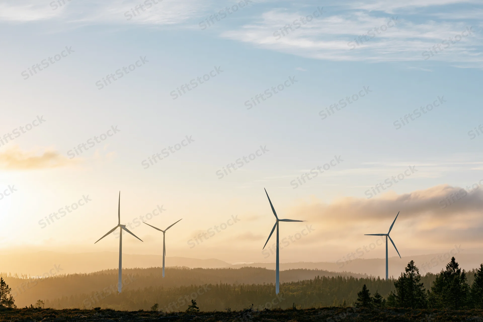 Wind turbines rising above forested hills at sunset