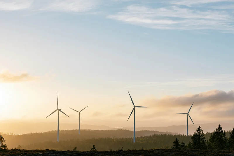 Wind turbines rising above forested hills at sunset