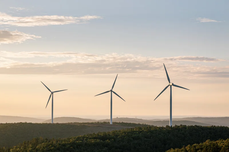 Three wind turbines rising above rolling green forested hills at sunset