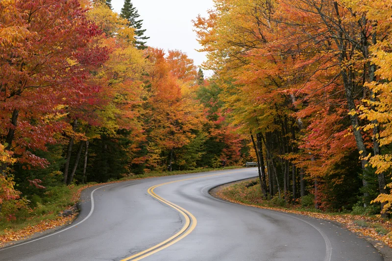Winding two-lane asphalt road curving through dense autumn forest with colorful foliage in New England