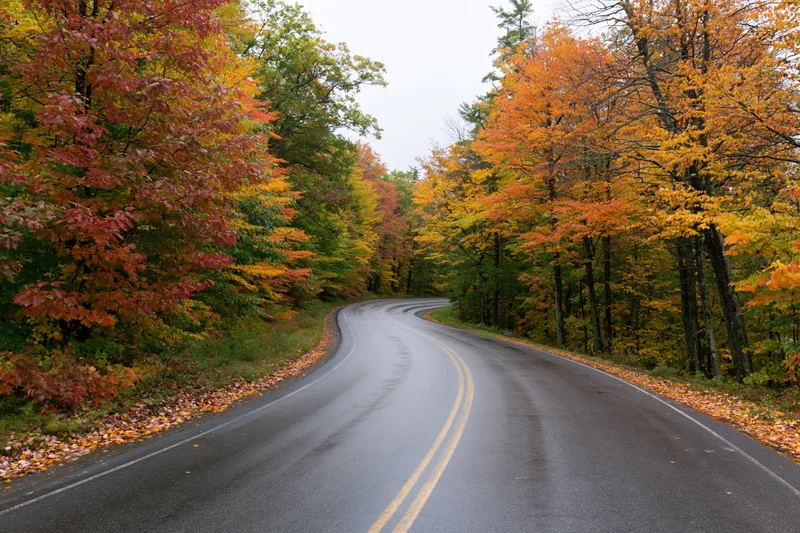 Winding asphalt road curving through dense autumn forest with colorful foliage in New England