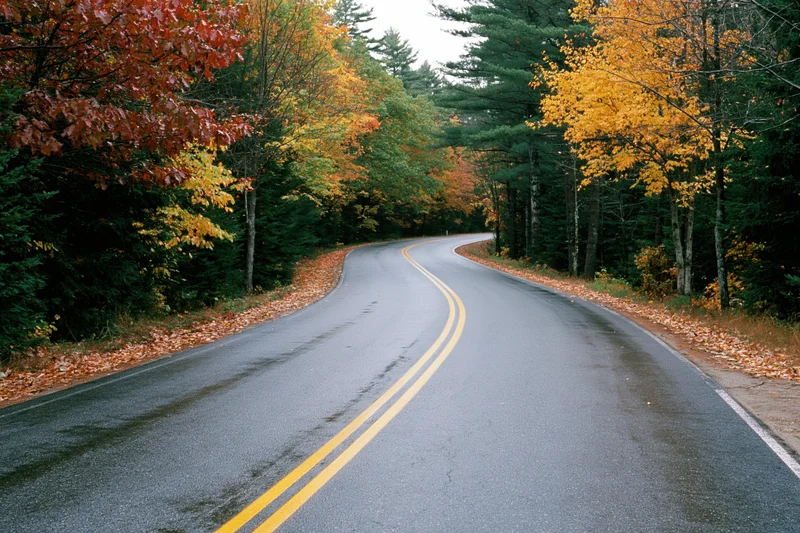Curving two-lane asphalt road through dense forest with autumn foliage in New England