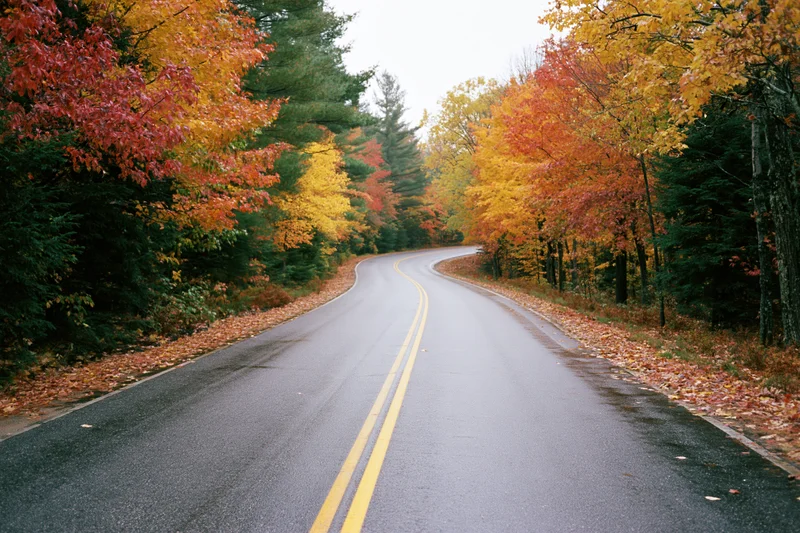 Curving two-lane asphalt road through dense forest with autumn foliage in New England