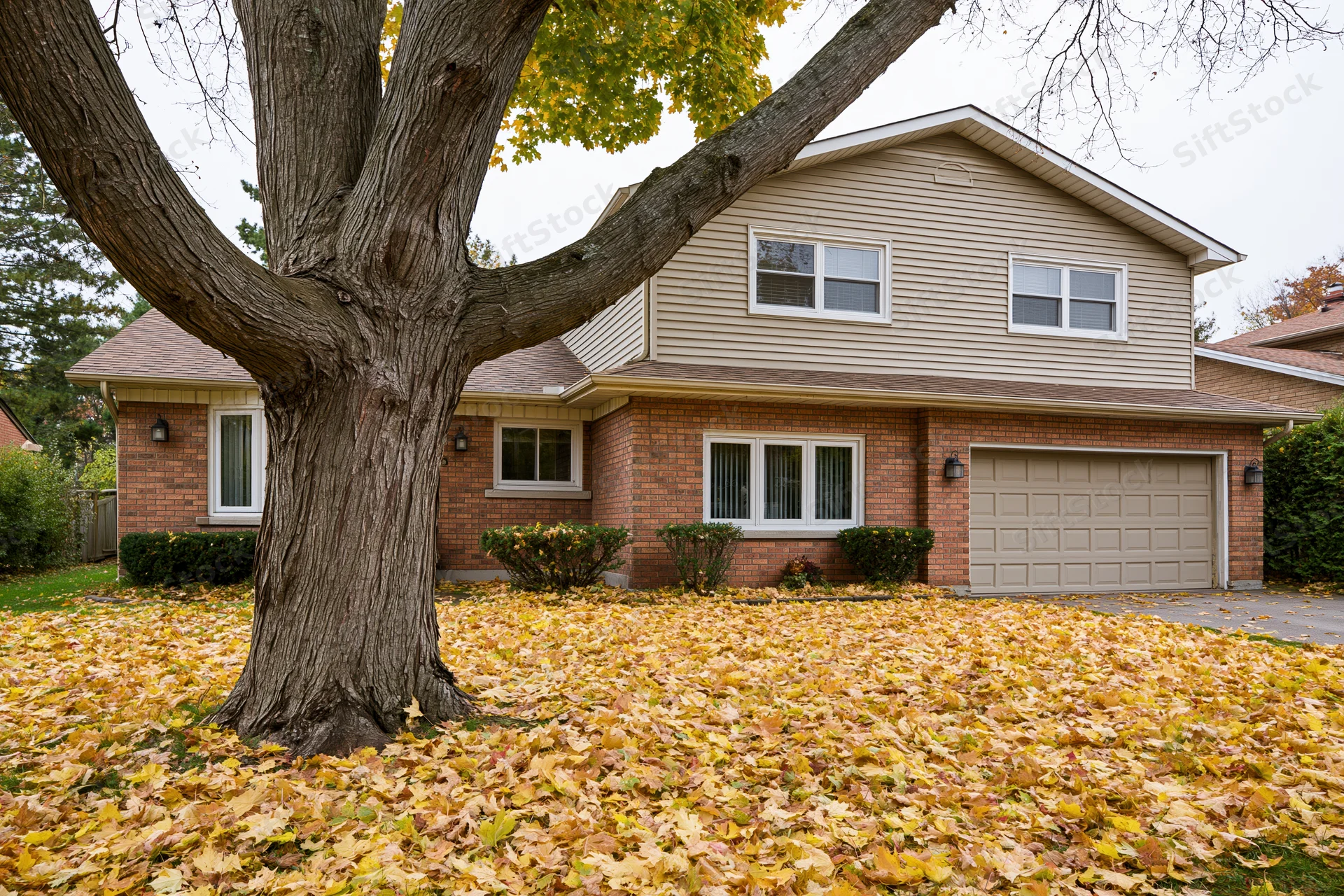 Two-story suburban house with brick and beige siding, front yard covered in fallen autumn leaves, tree in foreground