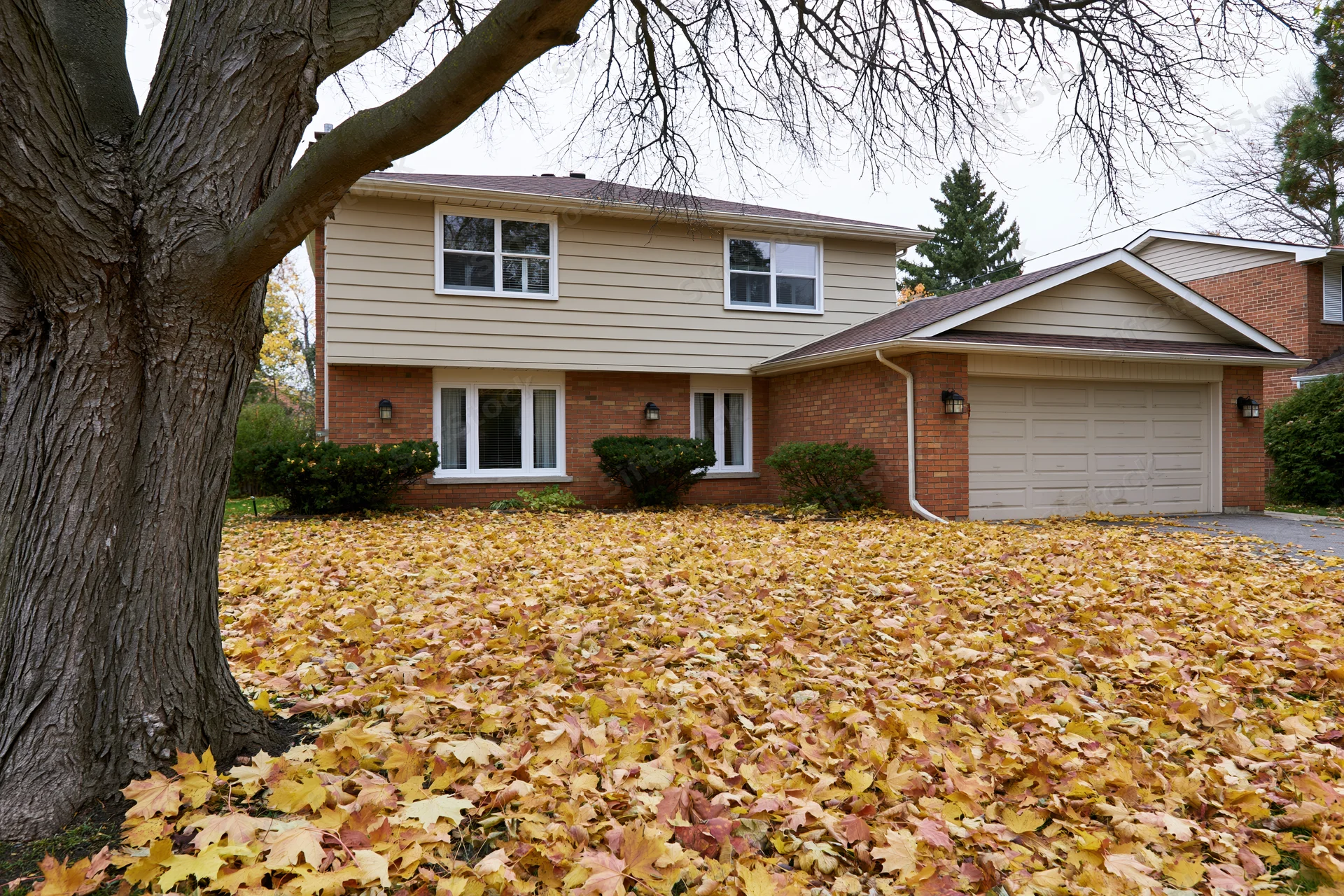 Two-story suburban house with beige siding and brick foundation surrounded by fallen autumn leaves in front yard