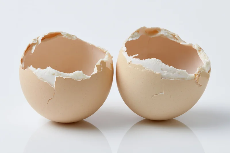 Two cracked eggshell halves split apart and empty placed side by side on white surface