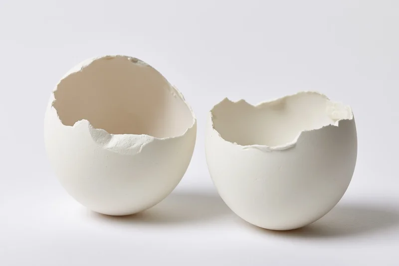 Two empty white eggshell halves split open and placed side by side on a plain white surface