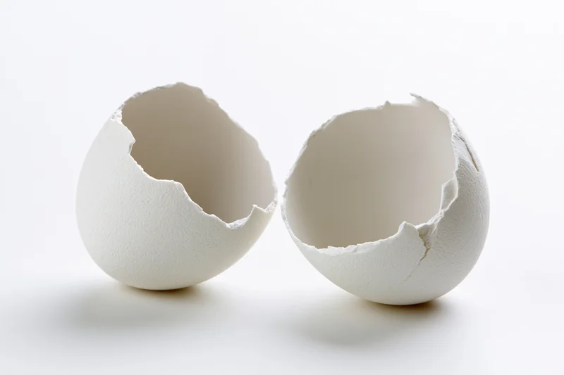 Two empty white eggshell halves split open and placed side by side on a white surface