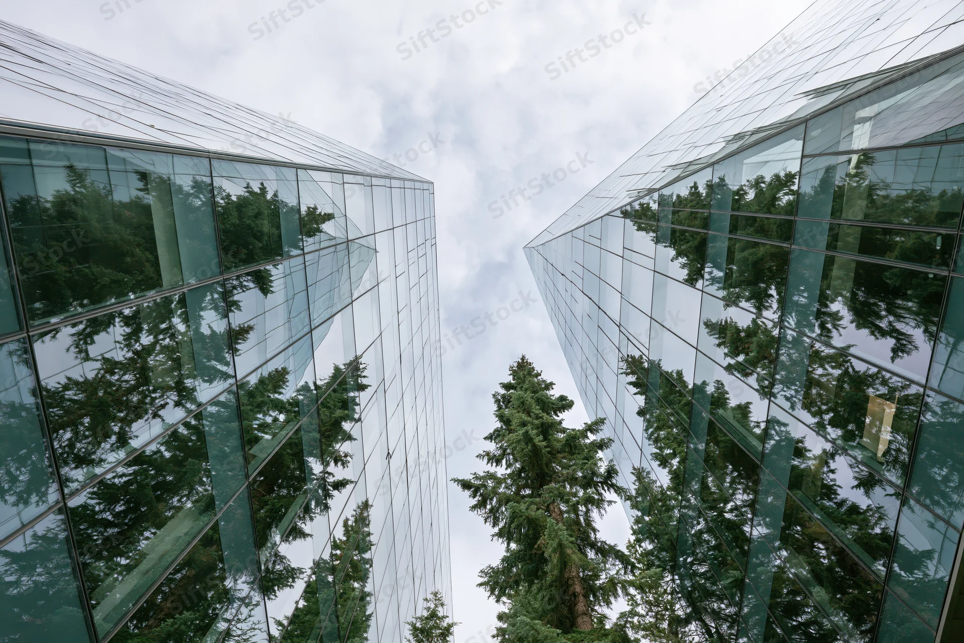 Two modern glass office buildings viewed from ground level with reflections of evergreen trees and cloudy sky