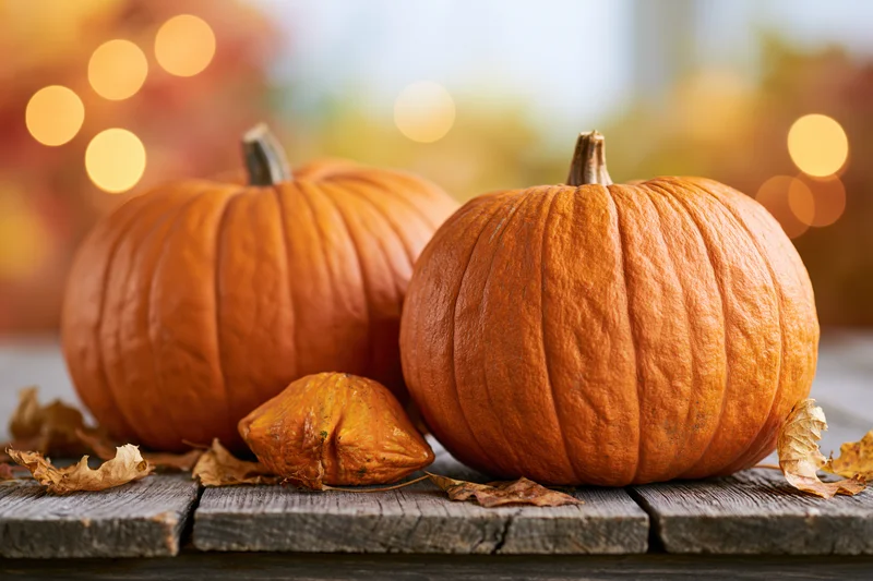 Two orange pumpkins and a small gourd arranged on a rustic wooden table with dried leaves and warm bokeh lights in the background